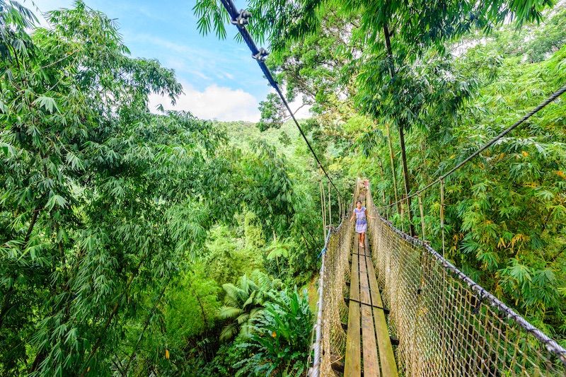 Balata Garden, Martinique